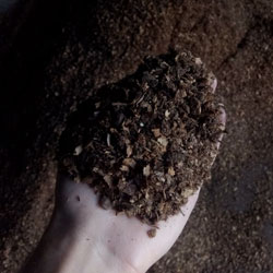 Enmienda Organica Compost