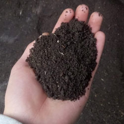 Tierra Negra Fertil